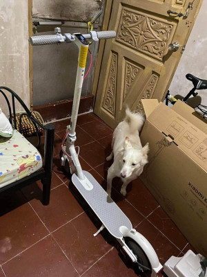 Xiaomi Electric Scooter 3 Lite