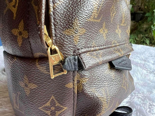 Louis Vuitton Mini Palmspring