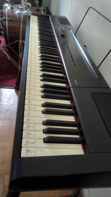 Artesia Digital Piano 88 Weighted Keys.