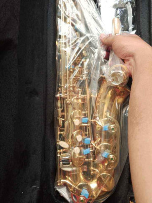 For Sale Brandnew Alto Saxophone Thomson Brand