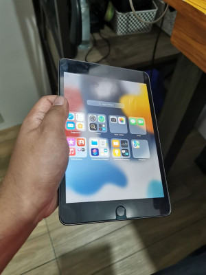 Apple Ipad Mini 5