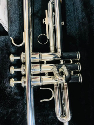 MTR500s MINERVA JAPAN TRUMPET