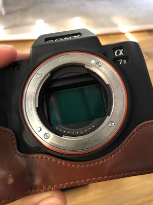 Sony A7 ii / Sony A7 mark 2