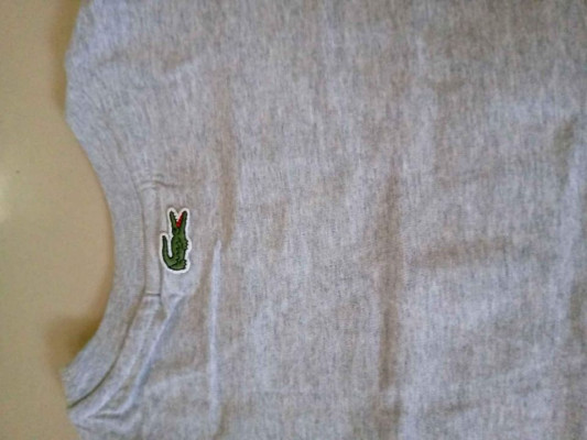Lacoste Shirt