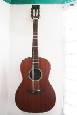 For sale: Takamine GY11ME NS
