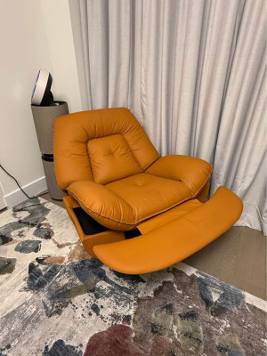 Reclining Chair