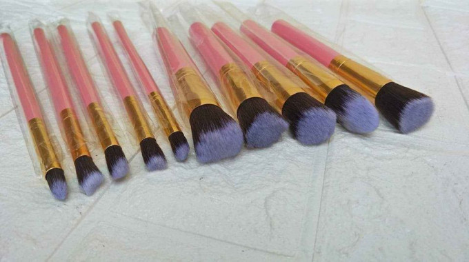 10pcs makeup brush set