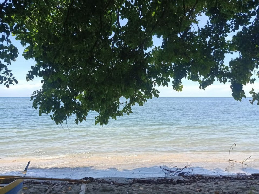 Beach Front and Farm Lot