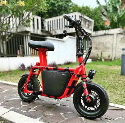 Brand new original fiido q1 ebike full upgraded speed