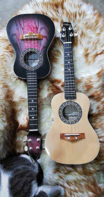 Brand New Ukulele Concert Size Free bag and pick