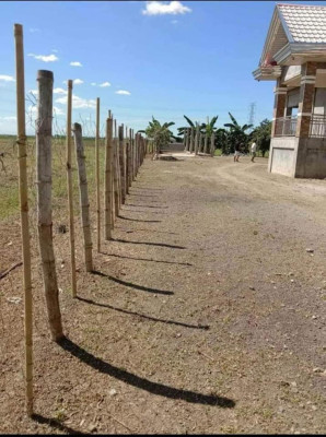 House and Lot For Sale