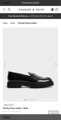 Loafers Charles and Keith