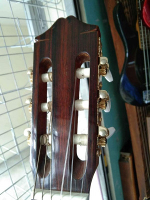 KAWAI ACOUSTIC GUITAR NEW
