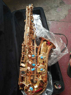 For Sale Brandnew Alto Saxophone Thomson Brand