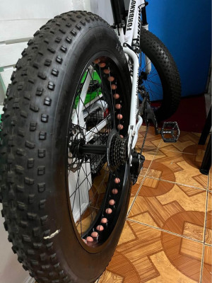 FORBKNOW FAT BIKE