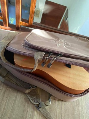 Baby Taylor Acoustic Guitar