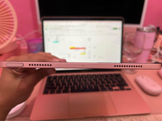 Ipad Air 4th Gen 2020 (RoseGold)