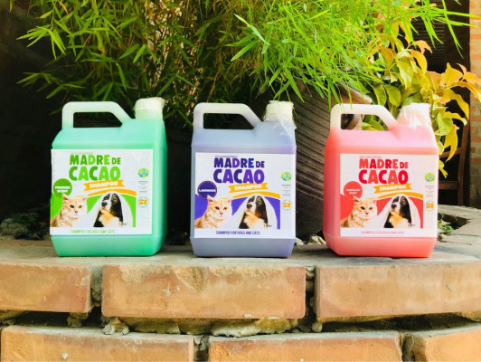 MADRE DE CACAO SHAMPOO