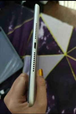 ipad mini 4 with sim