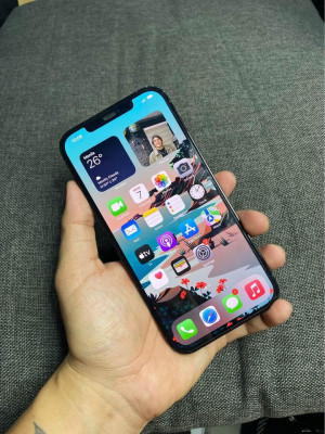 iPhone 12 Pro Max 256Gb (Globelocked) Pacific Blue