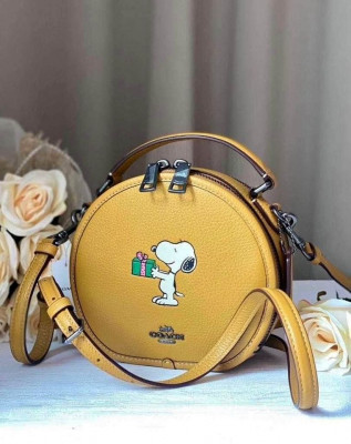Coach x peanuts crossbody bag