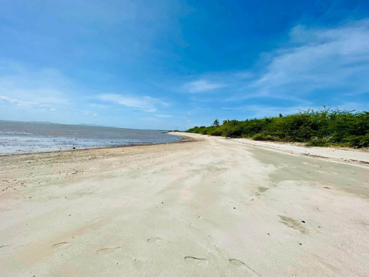 Front beach lot in Guimaras