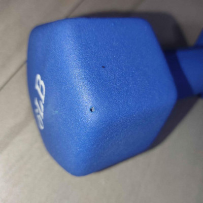 6lbs x 2 (PAIR) Dumbbell Set - Matte Finished (pre-loved)