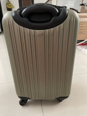 Cabin sized luggage