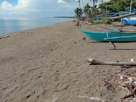 Beach Front Lot - San Juan, Batangas