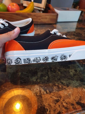 Original and Brand New VANS