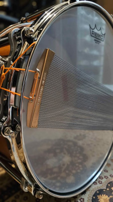 Pearl Free Floater Maple