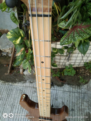 Bacchus Jazz Bass LED