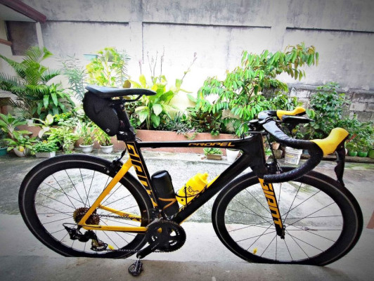 GIANT PROPEL allux slr black & yellow