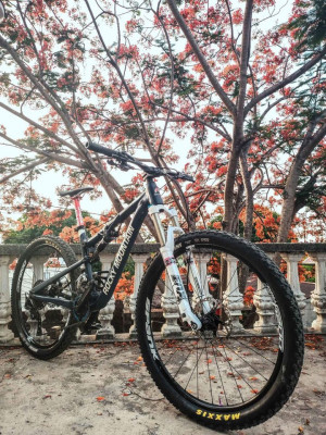 Fullsus frame Rocky Mountain Thunderbolt 750 msl