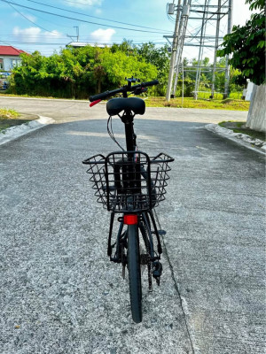 Mountainpeak Star folding bike