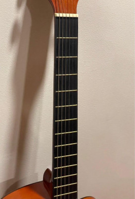 Fernando CAG-200CNA Guitar