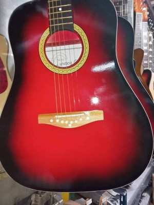 Brandnew Acoustic Guitars for Beginners