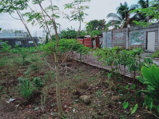 Lot - Daet, Camarines Norte