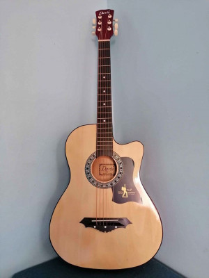 Brandnew Acoustic Guitar