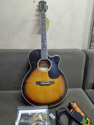 Guitar
