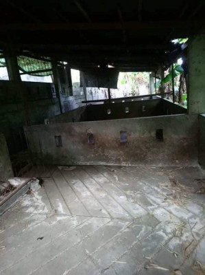 HOUSE & LOT WITH PIGGERY FOR SALE‼️