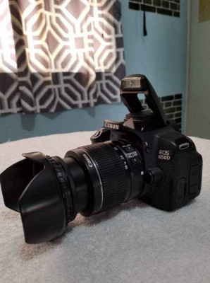 Canon 650d. .touchscreen and flipscreen