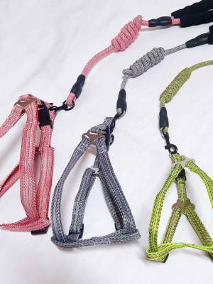 Heavy Duty Pet Leash and Harness