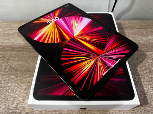 iPad Pro M1 Chip 11 inch 256GB Space Gray Wifi