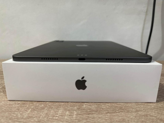 iPad Pro M1 Chip 11 inch 128GB Space Gray Wifi