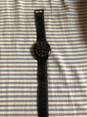 Skagen Mens Watch