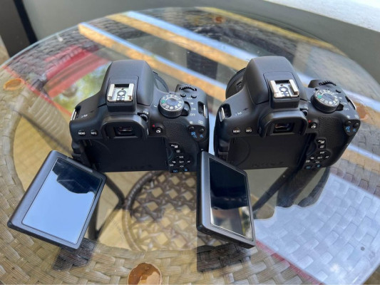 2 Unit Canon EOS 750D with 50mm Prime Lens
