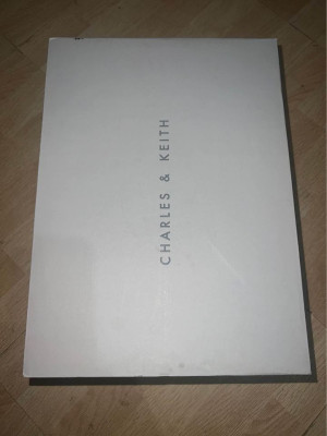 Charles & Keith Platform Sandals