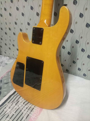 Electric Guitar