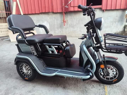 saige ebike / lge / 3 wheel/ electric bike